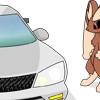 Car and Lopunny